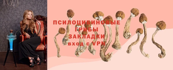 соль ск Балабаново