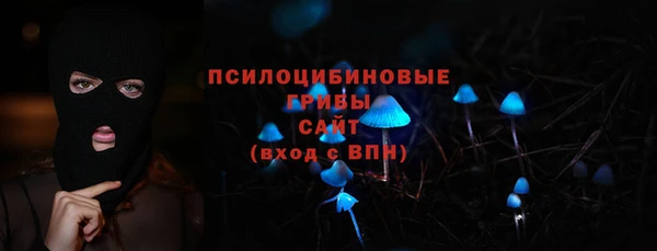 ПСИЛОЦИБИНОВЫЕ ГРИБЫ Армянск