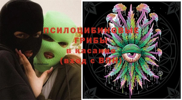 ПСИЛОЦИБИНОВЫЕ ГРИБЫ Армянск