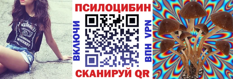 блэк спрут зеркало Барабинск Псилоцибиновые грибы Cubensis