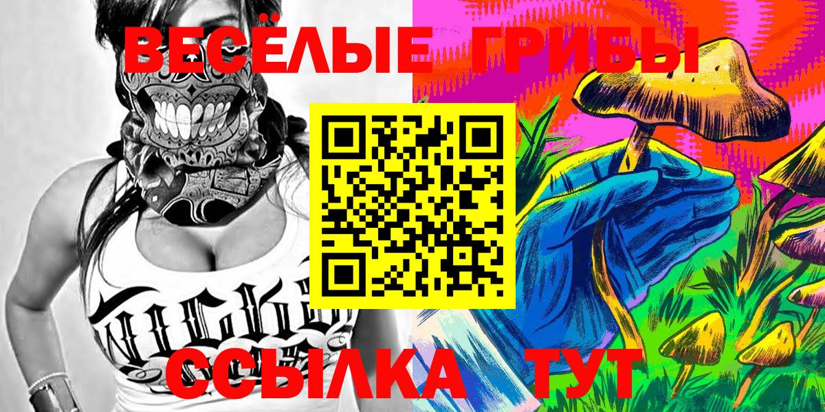Барабинск  Псилоцибиновые грибы мухоморы  Вход с VPN 